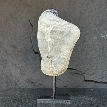 Deep Purple Natural Amethyst Geode With Metal Display Stand